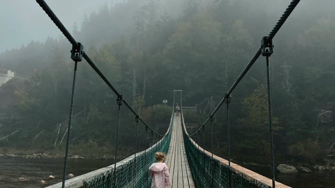 🌲 Wander & Wonder: Maine’s Coastal Hikes for Every Explorer
