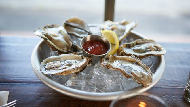 Where to Find the Best Oysters Along the Southern Maine Coast