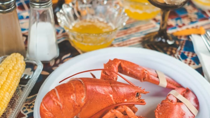 Culinary Along the Coast: Elevating Your Stay with a Private Chef