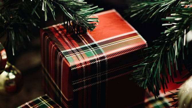 A Coastal Kind of Cozy: The Holidays with Salt & Shine